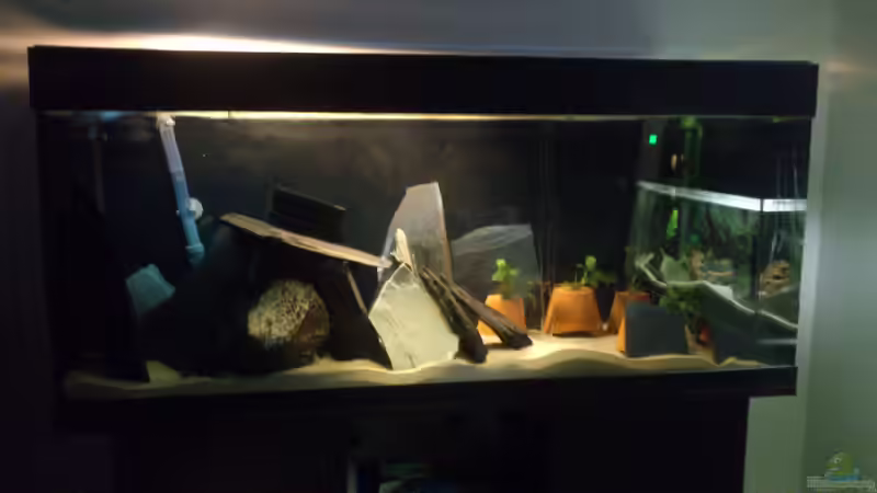 Aquarium Hauptansicht von Tanganjika 240l von Flipper (1)