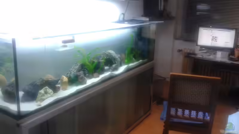 Aquarium Hauptansicht von Tanganjika-Cliffside von Akula (1)