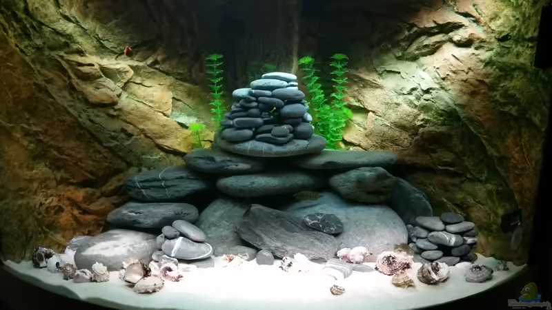 Aquarium Hauptansicht von Tanganjika mal anders von Moorna (1)