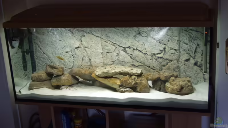 Aquarium Hauptansicht von Tanganjika