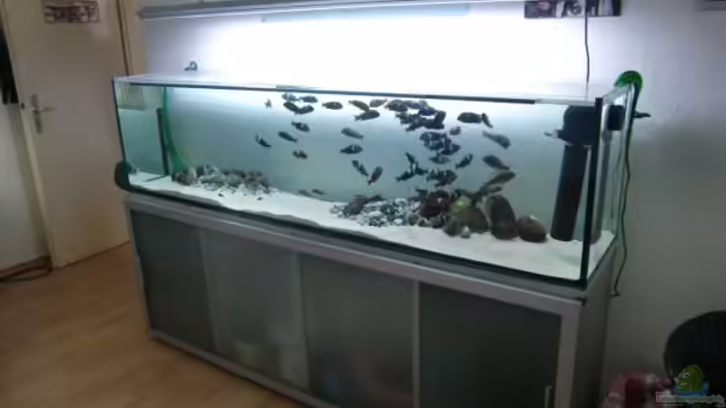 Aquarium Hauptansicht von Tanganyika-Lakeside