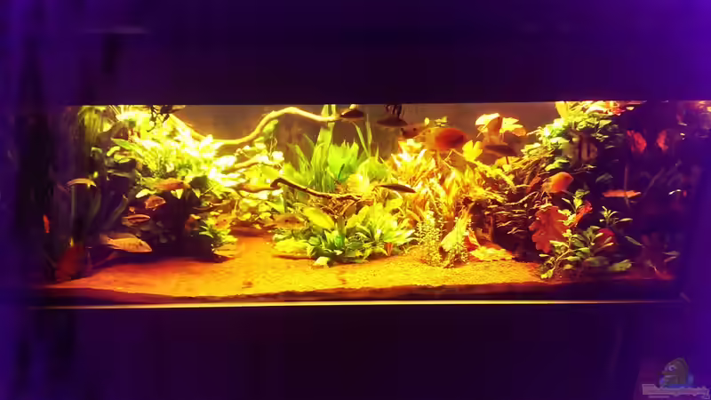 Aquarium Hauptansicht von ´Tapajos´ von Seemann (1)