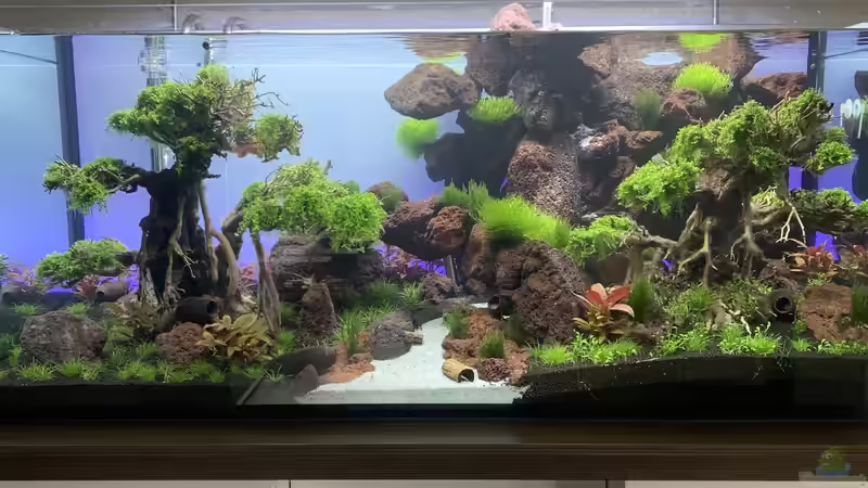 Aquarium Hauptansicht von The Bridge von Matze3110 (1)