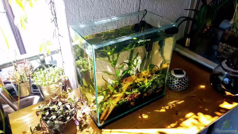 Aquarium Hauptansicht von Tümpel von Mike Steidl (1)