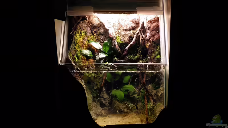 Aquarium Hauptansicht von Tümpelchen von Stephi (1)