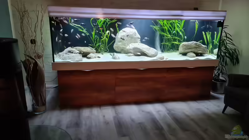 Aquarium Hauptansicht von Underwaterworld von Daim75 (1)