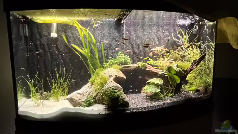 Aquarium Hauptansicht von Unterwasserinsel von BoelleRBL (1)