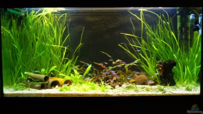 Aquarium Hauptansicht von Unterwasserwelt ( nur noch als Beispiel )