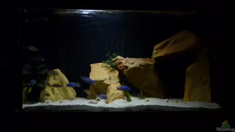 Aquarium Hauptansicht von Utaka