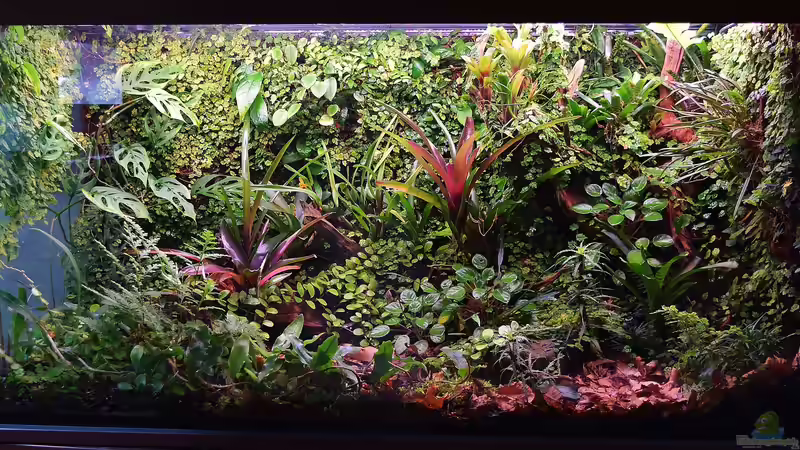 Aquarium Hauptansicht von Von Asseln und Tausendfüsslern von Junglist (1)