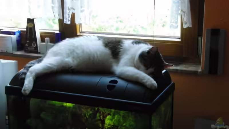 Aquarium Hauptansicht von Waterhome von Oberregenwurm (1)