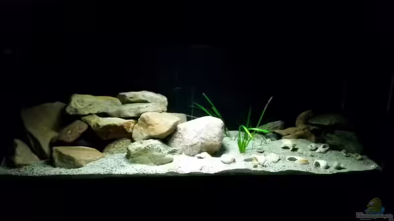 Aquarium Hauptansicht von Werk 3 von Bitman (1)