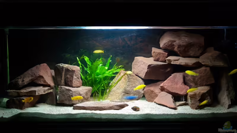 Aquarium Hauptansicht von Wohnzimmer
