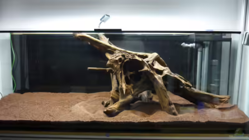 Aquarium Hauptansicht von Zu Hause Süsswasser von OldFriend (1)