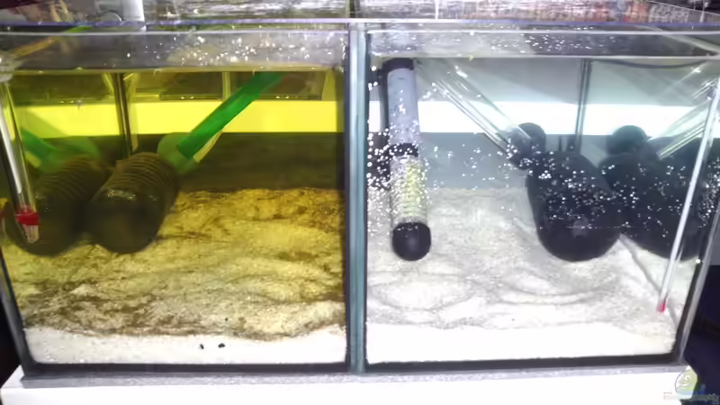 Aquarium Hauptansicht von Zuchtanlage 2x 12L
