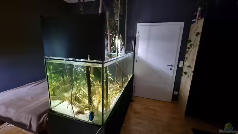 Aquarium Heimisches Kaltwasserbecken von Clemens R (2)