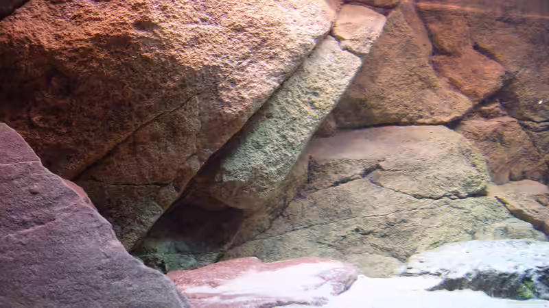 Aquarium Herzinfarktrisikosenker II von Niklot (4)