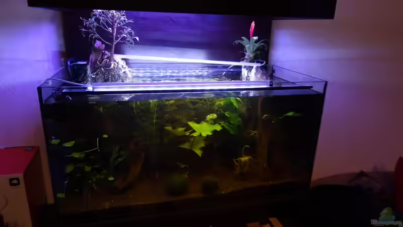 Aquarium Hoan Kiem von Zapa (2)