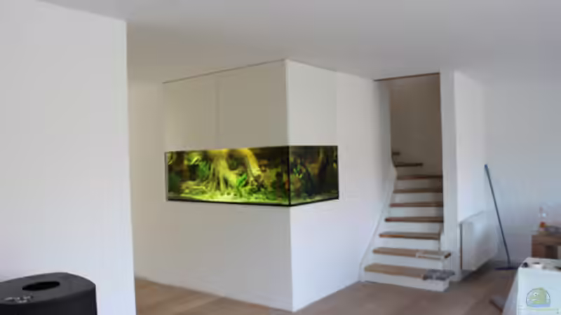 Aquarium Home sweet Diskushome (aufgelöst) von Tooooni (11)