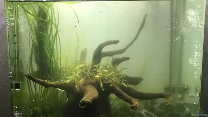 Aquarium i love stones, again ! von Ayahuasca (2)