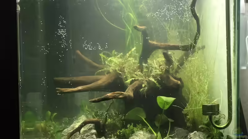 Aquarium i love stones, again ! von Ayahuasca (3)