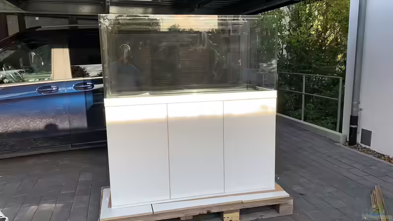 Aquarium im Aufbau 2 von Jonas B. (49)