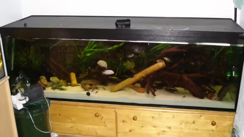 Aquarium im hellen Licht von Alexander Beutner (2)