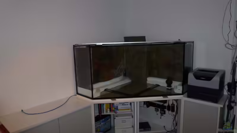 Aquarium im Homeoffice: Ruhepol, Blickfang und lebendiges Biotop am Arbeitsplatz