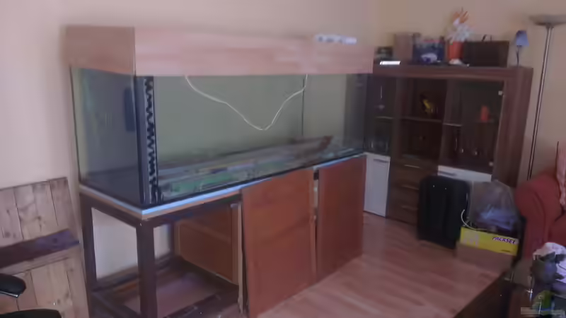 Aquarium im Rohzustand (Garagenfund) von Biffty (11)