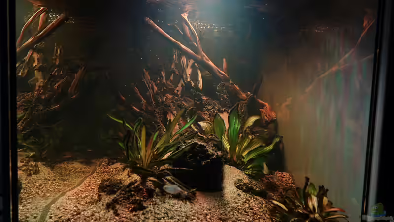 Aquarium im September 2023 Seitenansicht von Philip (12)