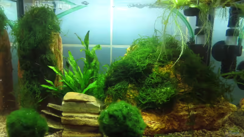 Aquarium In the depth of silence von Joe Waters (2)