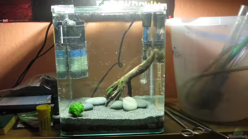 Aquarium It's not the size that matters von Joe Waters (2)