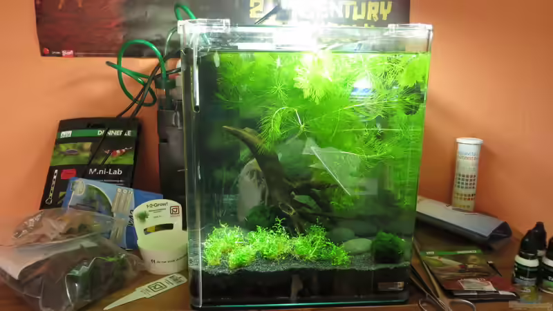 Aquarium It's not the size that matters von Joe Waters (3)