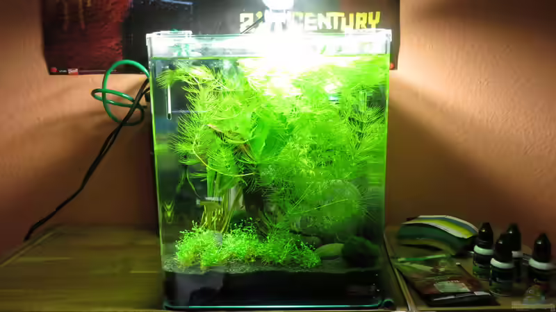 Aquarium It's not the size that matters von Joe Waters (6)