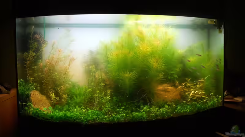 Aquarium J. Vision 180 Becken von Mario Mayer (2)