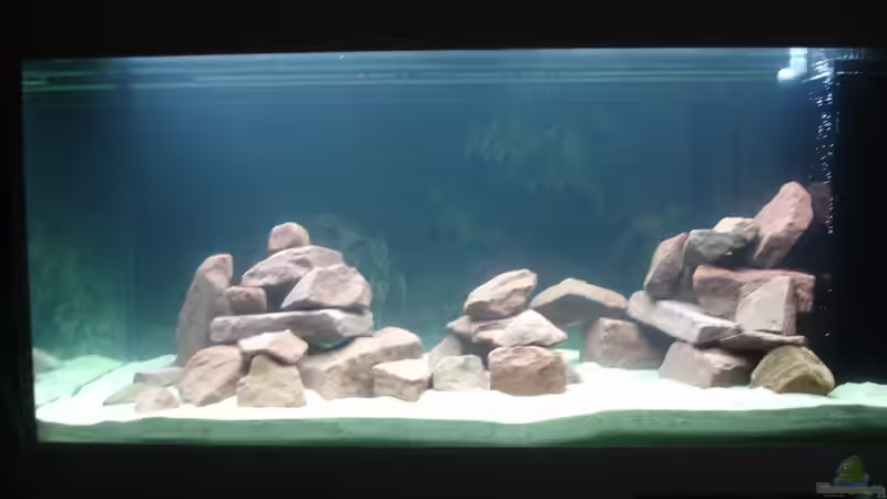 Aquarium jetzt mit Wasser, aber noch leer von Roadrunner 68 (11)