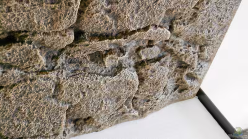 Aquarium Juvel Rio 300-Kombination dunkelbraun von Ole Möhre (5)