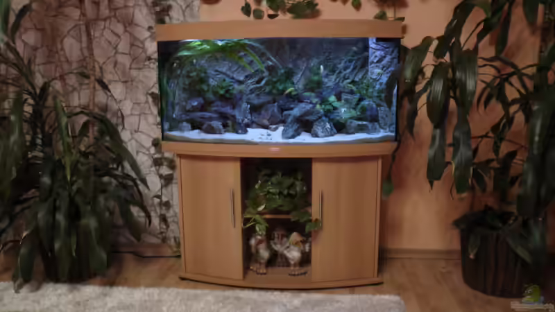 Aquarium Juwel 260 vision von Bäumchen (2)