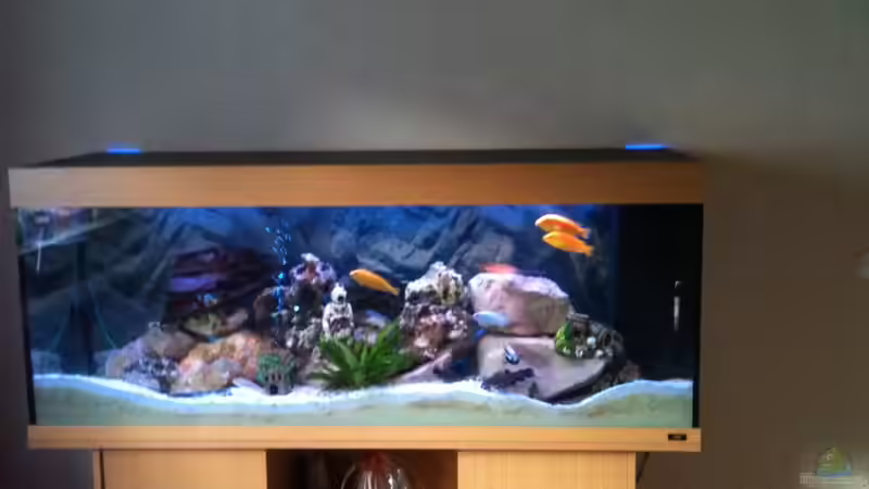 Aquarium Juwel 450L von Barny (2)