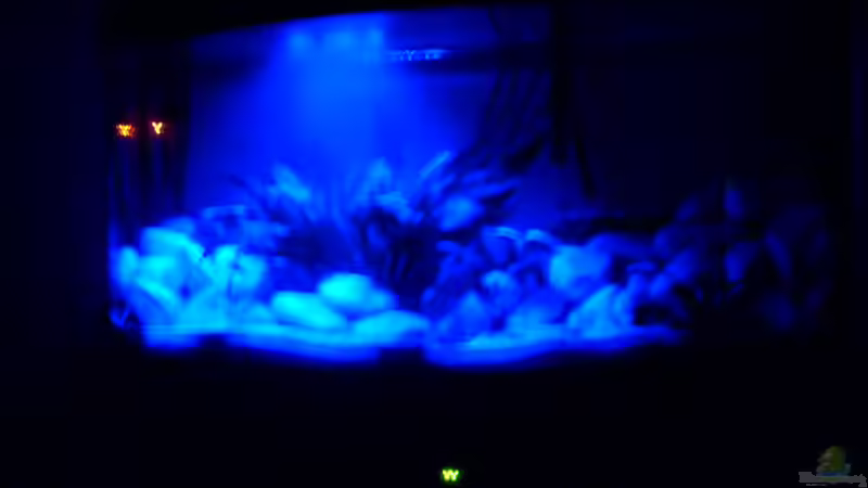 Aquarium Juwel Aquarium Vision 260 mit Unterschrank von Chrstian Seupel (6)