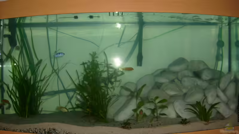 Aquarium Juwel Aquarium Vision 260 mit Unterschrank von Chrstian Seupel (8)
