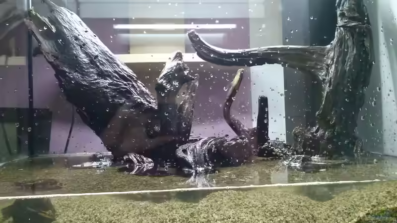 Aquarium Juwel Lido 200 weiss Fx von FleXx0 (10)