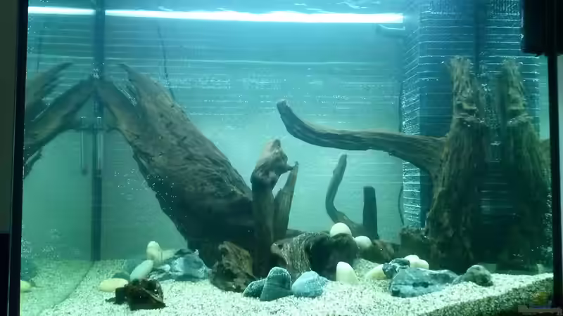 Aquarium Juwel Lido 200 weiss Fx von FleXx0 (12)