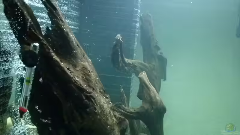 Aquarium Juwel Lido 200 weiss Fx von FleXx0 (13)