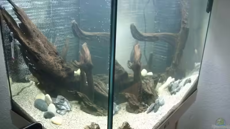 Aquarium Juwel Lido 200 weiss Fx von FleXx0 (14)