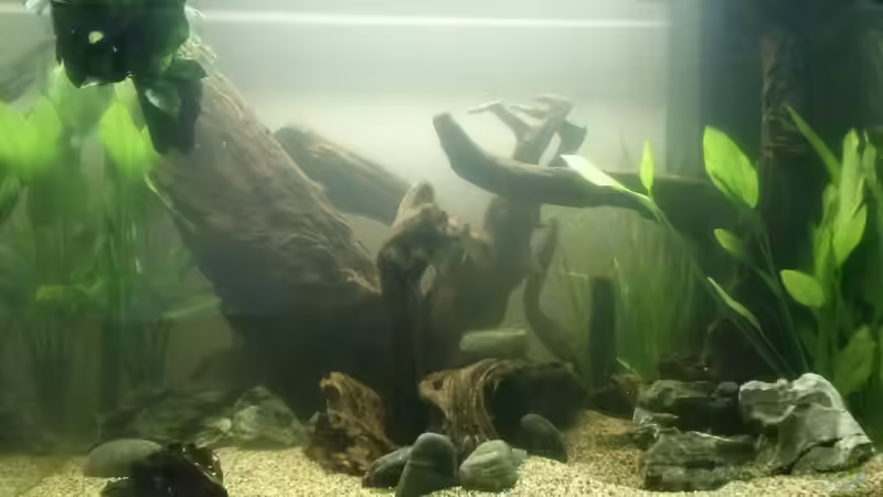 Aquarium Juwel Lido 200 weiss Fx von FleXx0 (15)