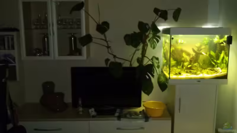 Aquarium Juwel Lido 200 weiss Fx von FleXx0 (19)