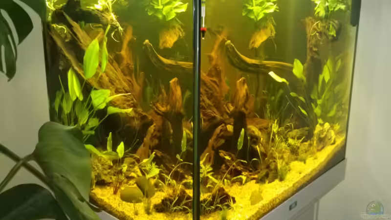 Aquarium Juwel Lido 200 weiss Fx von FleXx0 (24)
