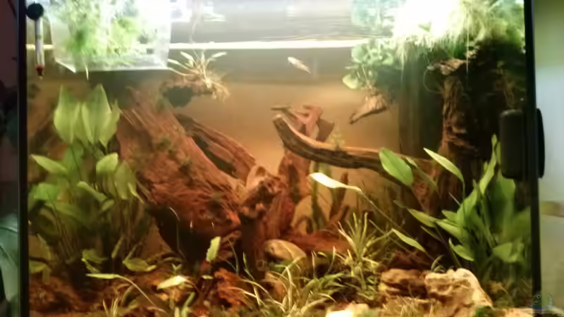 Aquarium Juwel Lido 200 weiss Fx von FleXx0 (25)