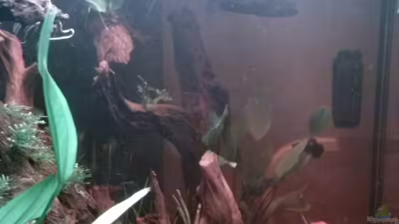 Aquarium Juwel Lido 200 weiss Fx von FleXx0 (27)